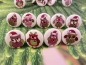 Preview: Weihnachts Eulen Knopf Ohrstecker Winter Uhu owl